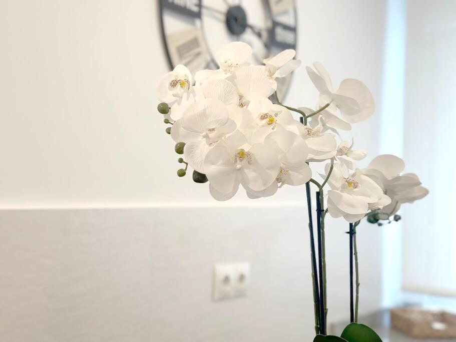 Apartamento Reformado En Santoña 외부 사진